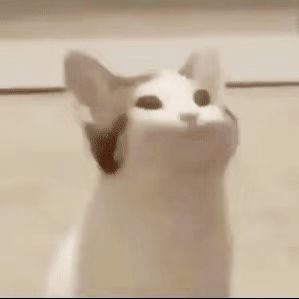 管理员头像
